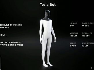 Tesla Bot specs