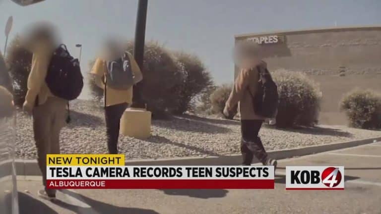 Sentry Mode helps catch teen who vandalized Tesla Model 3 - Drive Tesla