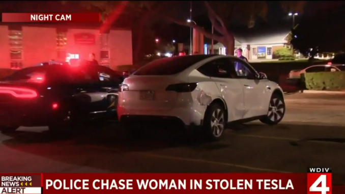 Michigan Tesla chase