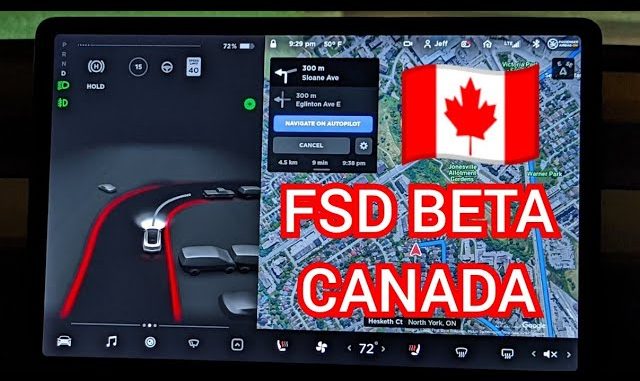 fsdbetacanada