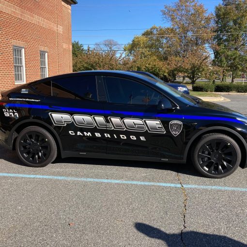 CPD model y