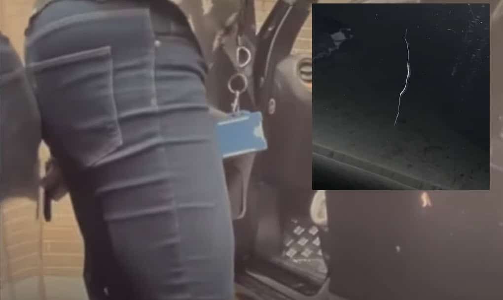 Woman prosecuted and fined for keying Tesla Model 3 thanks to Sentry ...