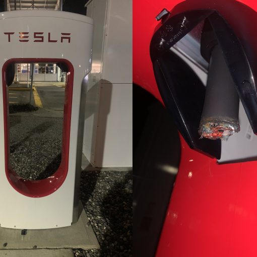 south surrey vandalism