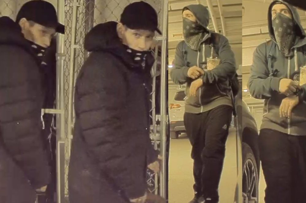 suspects collage