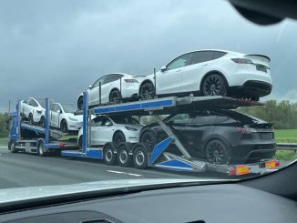 white model y