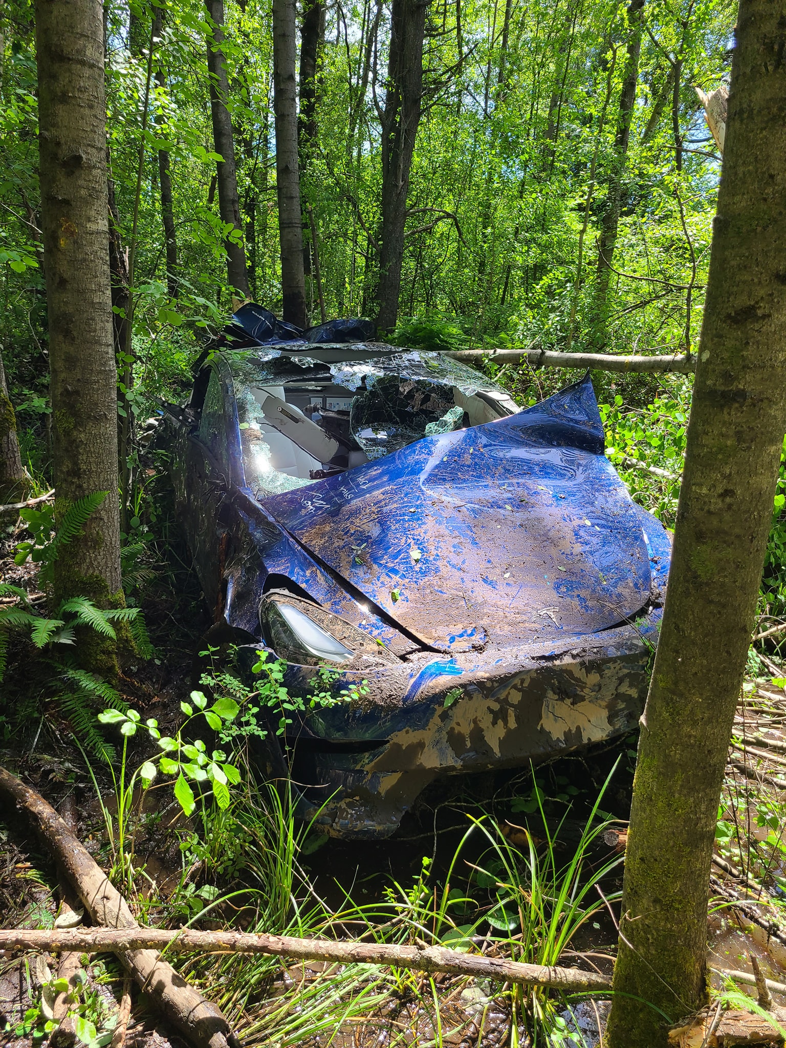 Tesla Owner Suffers Only Minor Injuries After His Model 3 Flies 85 Feet ...