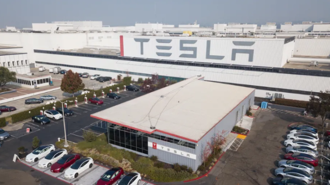 Tesla Fremont factory courtesy of Becca Farsace / The Verge