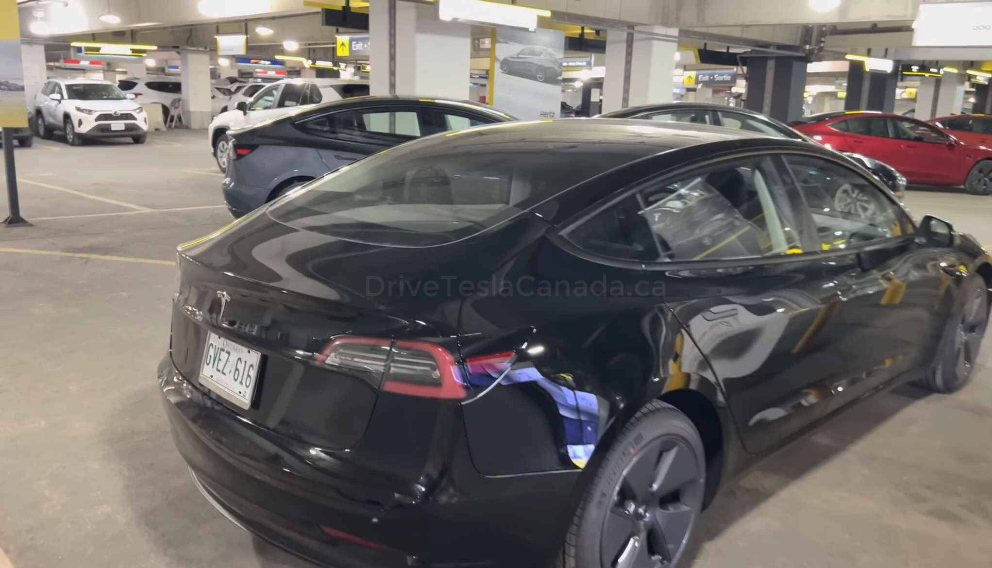 hertz car rental tesla model 3