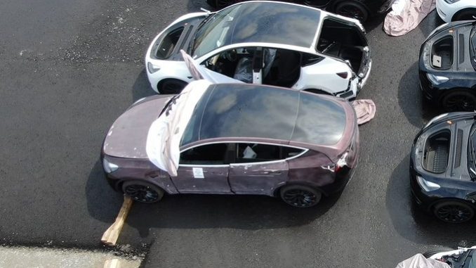 Deep Crimson Model Y