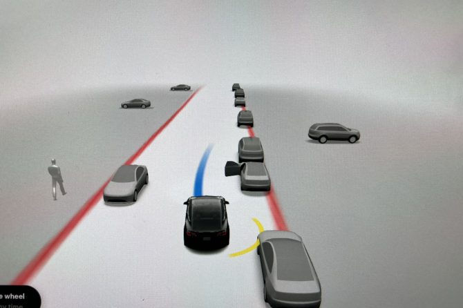 fsd beta visualization