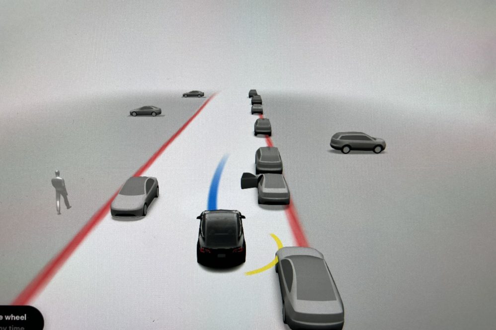 fsd beta visualization