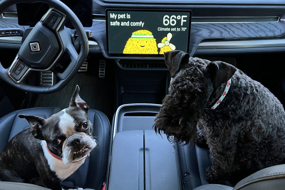 rivian pet comfort