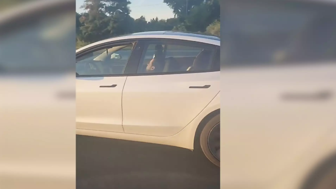Tesla driver sleeping on the highway in Ontario