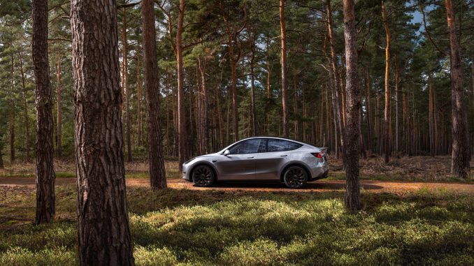 modely silver modely silver