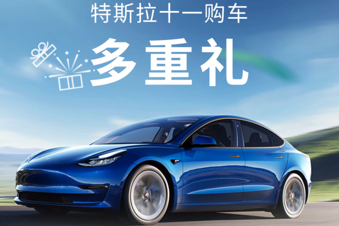 tesla china