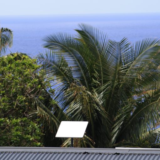 Easter Island Starlink