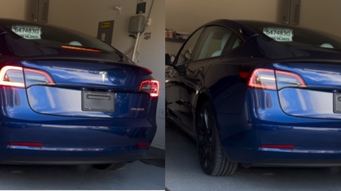 model 3 taillights