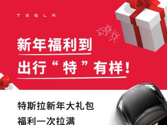 china new year