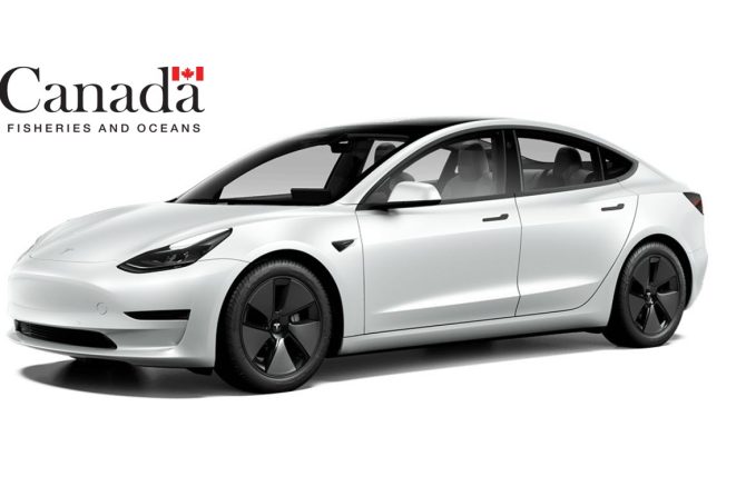 model 3 dfo