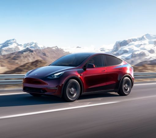 modely midnight cherry