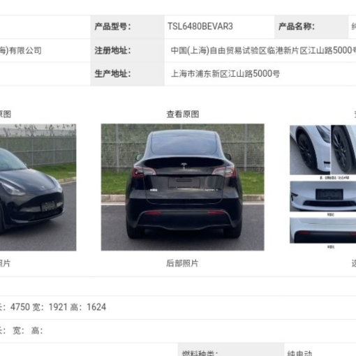 model y china reg