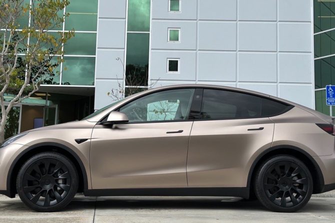 model y wrap