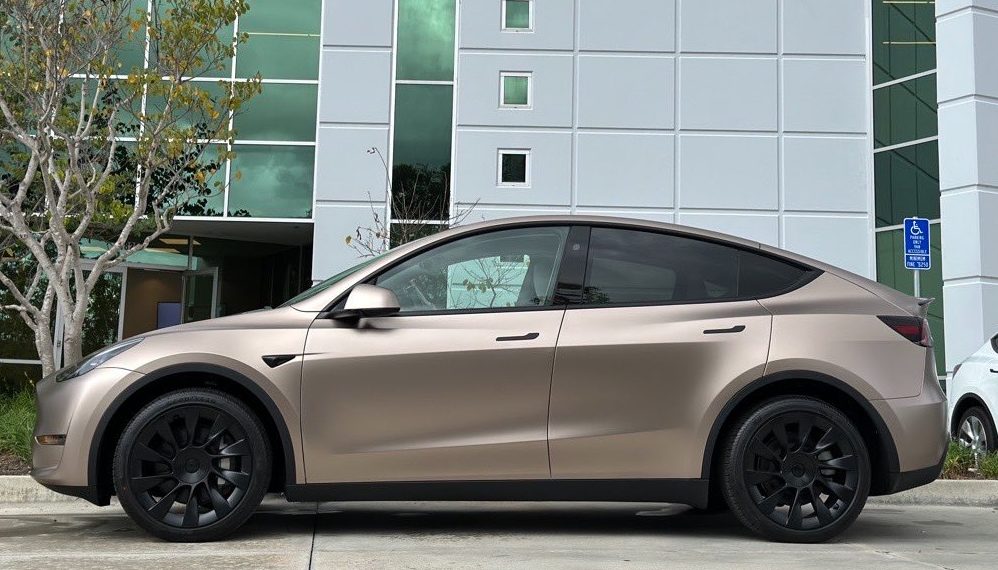 model y wrap