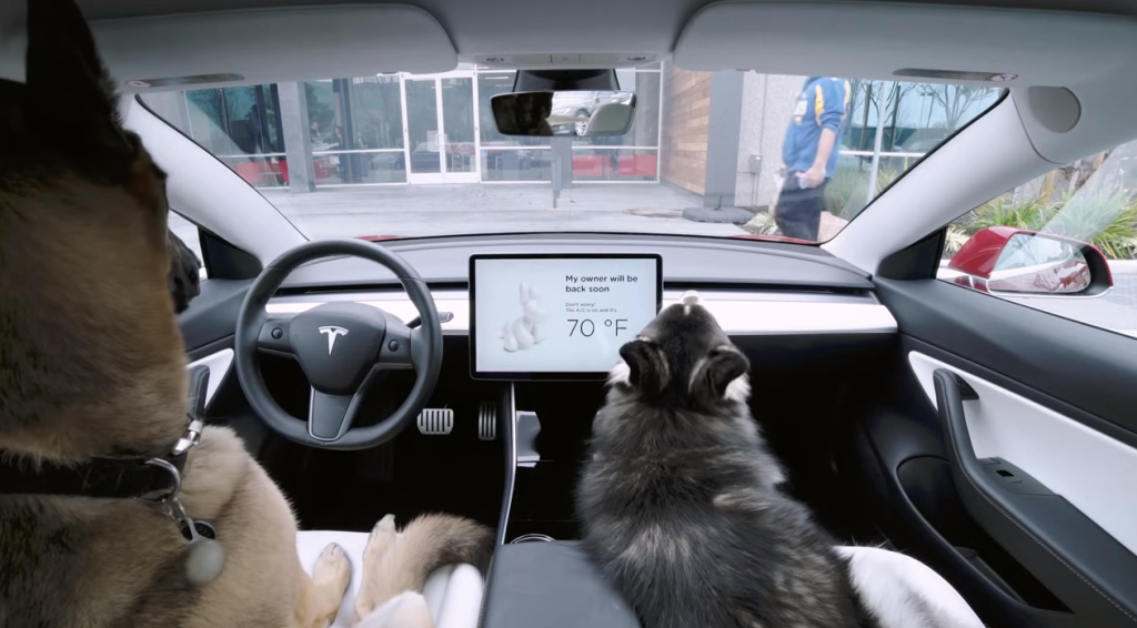tesla dog mode