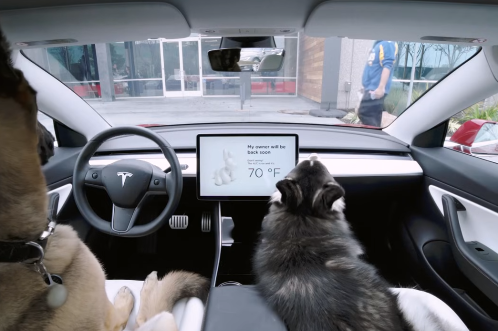 tesla dog mode