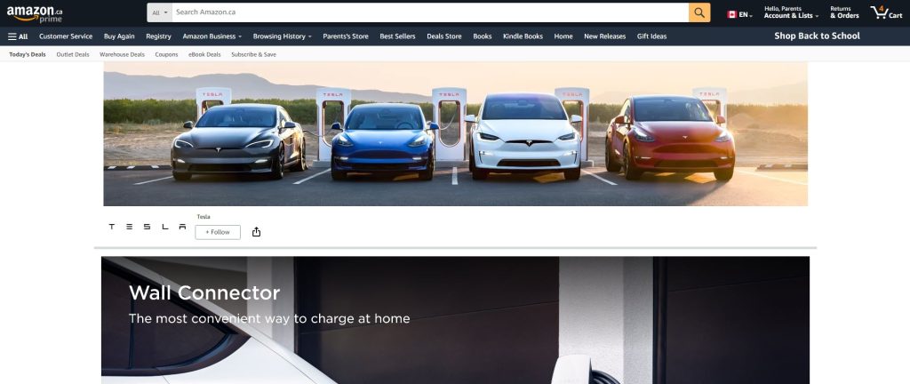 tesla-amazon-storefront