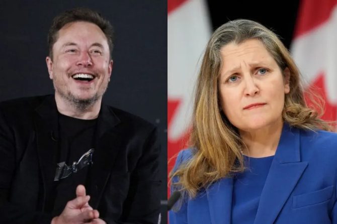 musk freeland