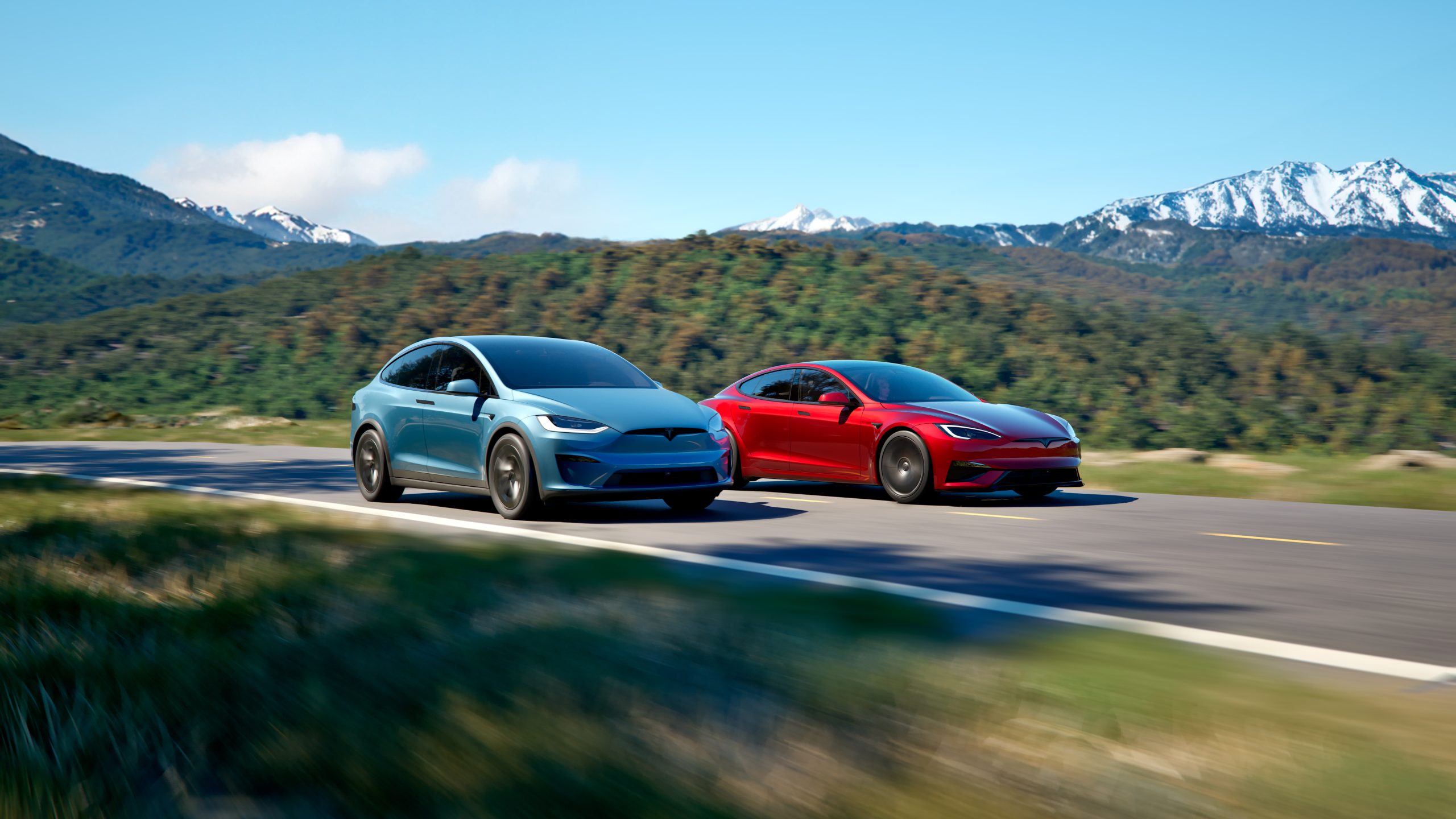 Model S and Model X