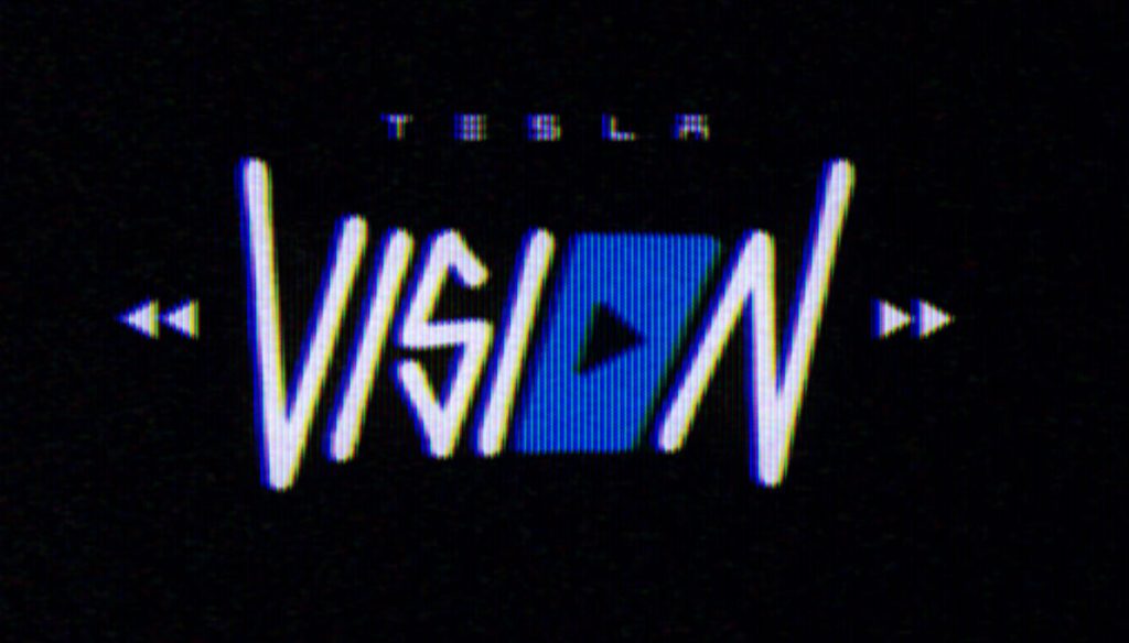 tesla vision