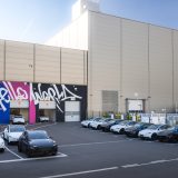 model y standard giga berlin