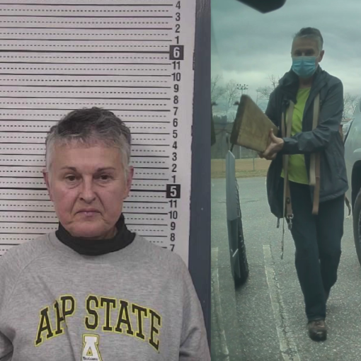 karen lewis cybertruck