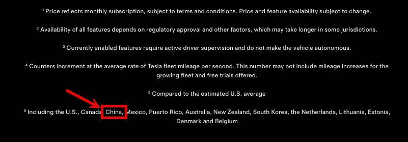 tesla fsd china website