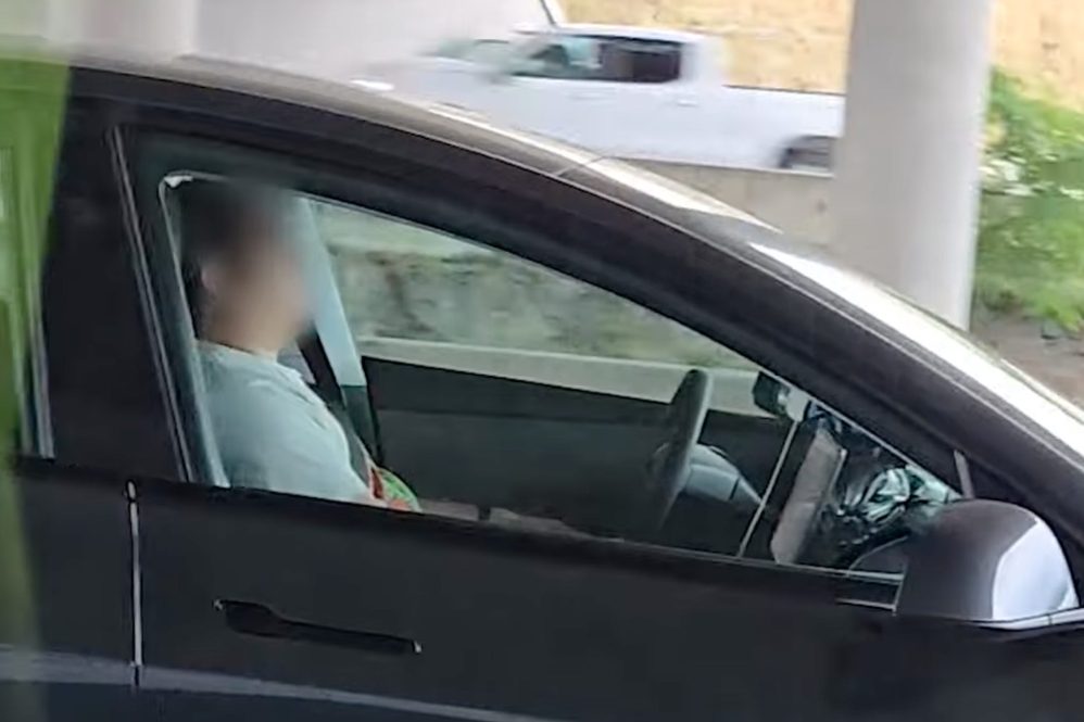 tesla driver asleep