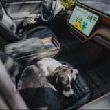 Courtesy: Rivian