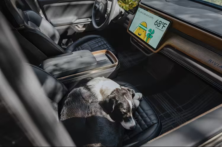 Courtesy: Rivian