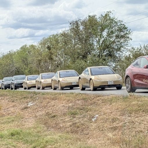Line of gold Tesla Cybercabs and Model Y Robotaxis in Austin during F1 weekend